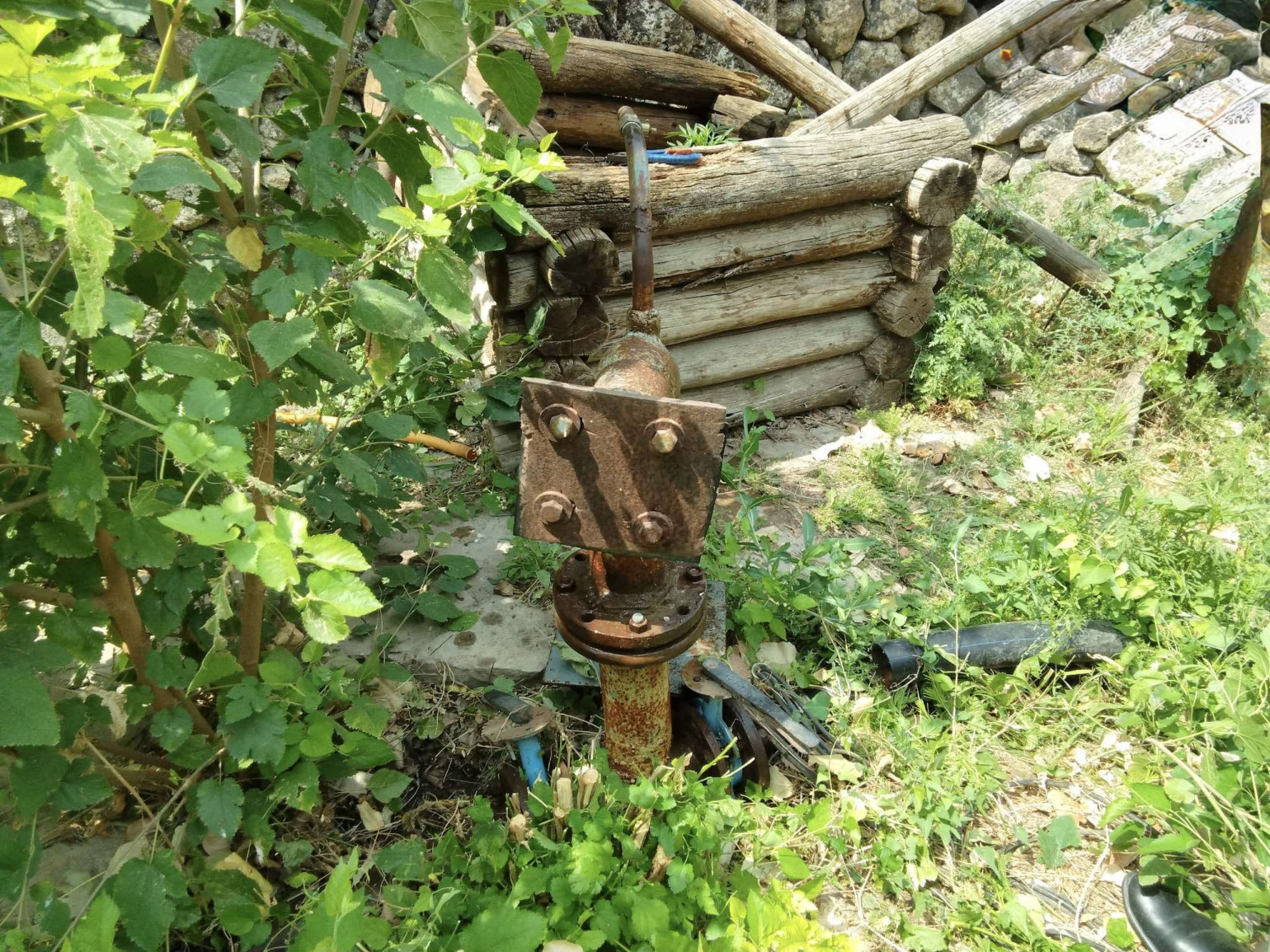 Foto